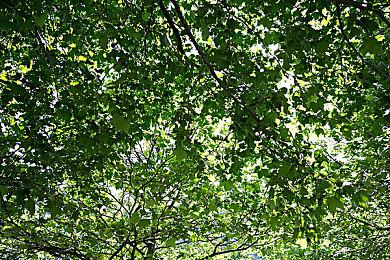 破月勇者指挥官浅谈 版本上分阵容推荐